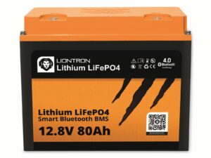 LIONTRON LiFePO4 LX