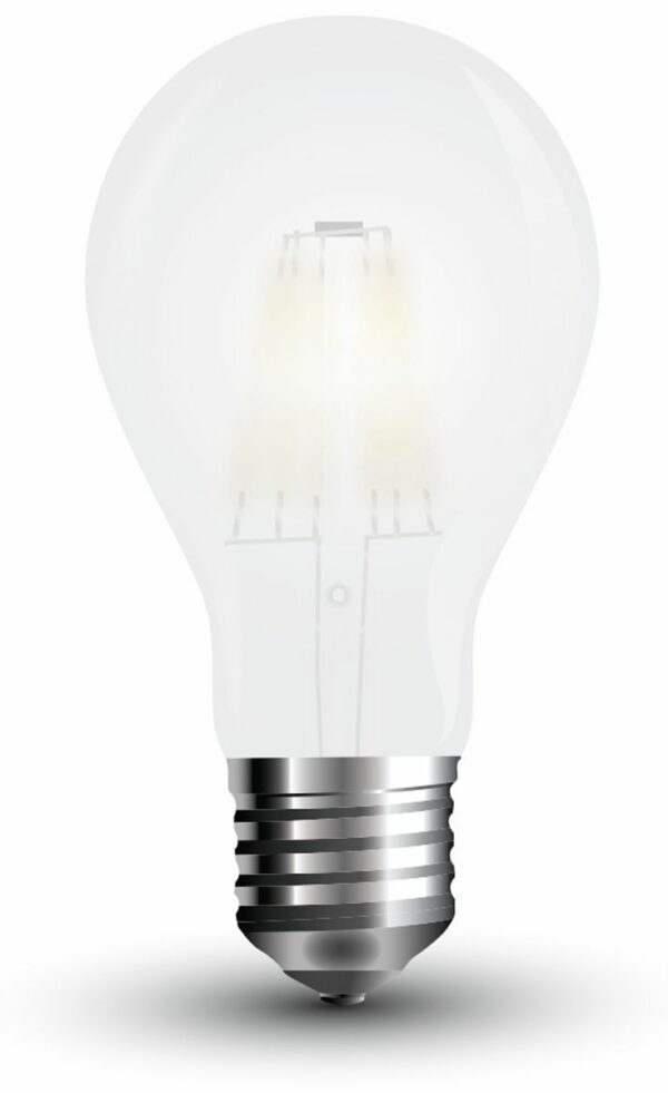 LED-Lampe VT-2047 Frost