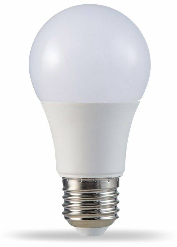 LED-Lampe VT-2099
