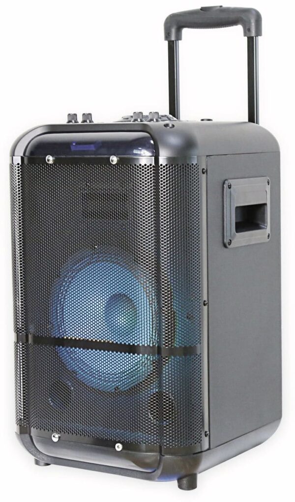 Denver Portabler Lautsprecher TSP-306