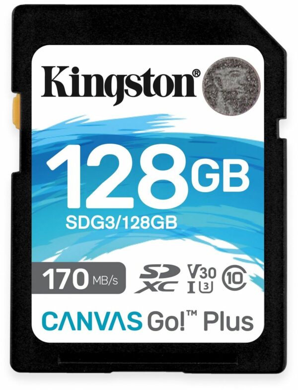 Kingston SD-Card Canvas GO!